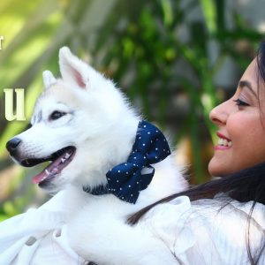 pet photography